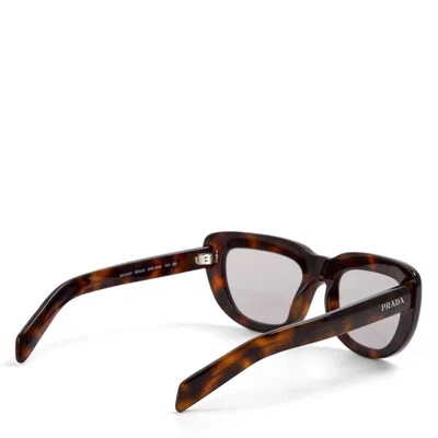 Prada Oversized Sunglasses In Multi