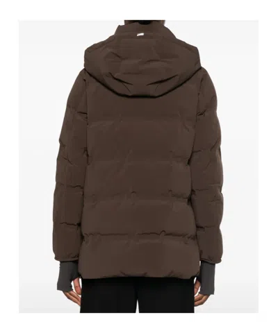 Herno Logo Down Jacket In Brown