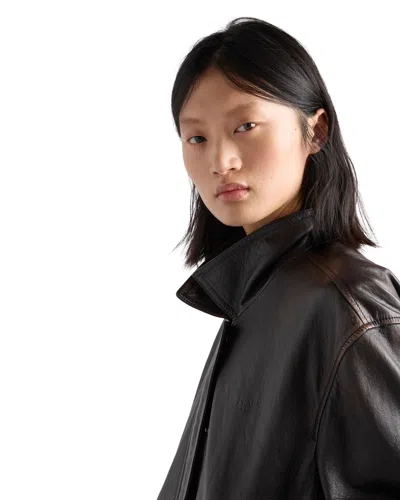 Prada Nappa Leather Jacket In Brown