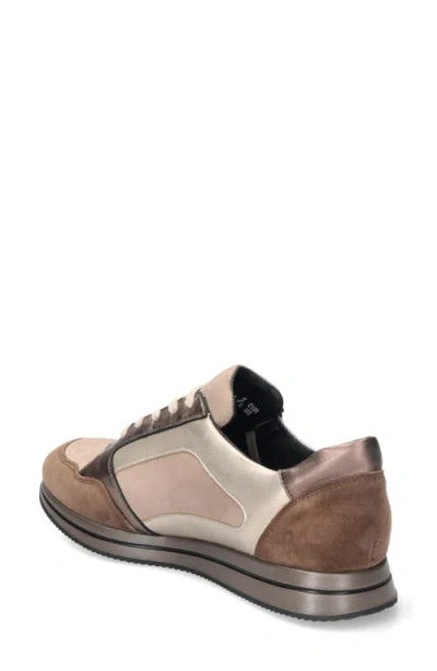 Mephisto Leenie Sneaker In Multi