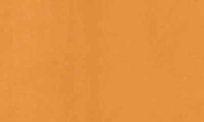 Longchamp Cotton Blend Blazer In Saffron