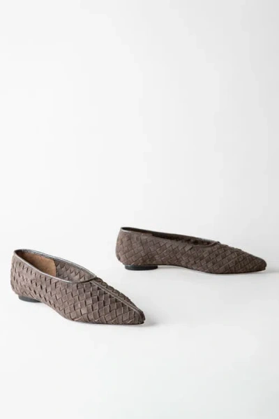 Huma Blanco Zelda Pointed-toe Flat In Brown