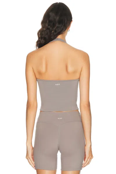 437 The Halter Tank Top In Gray
