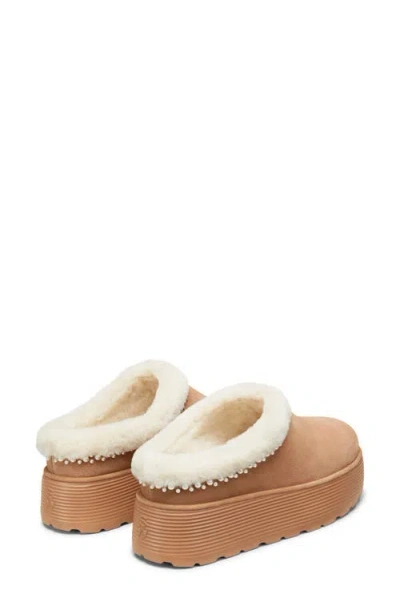 Stuart Weitzman Nellie Genuine Shearling Platform Clog In Multi