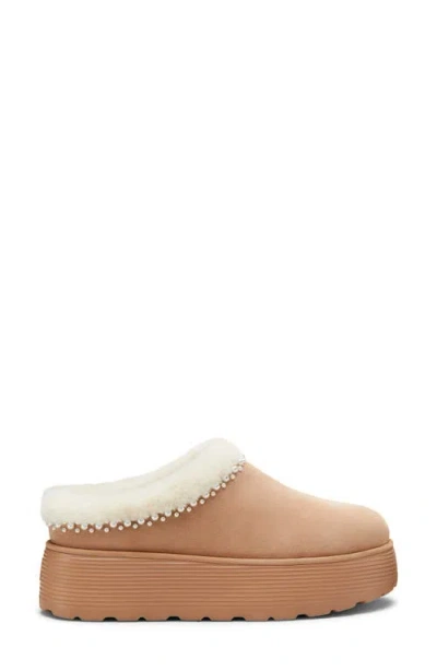 Stuart Weitzman Nellie Genuine Shearling Platform Clog In Multi