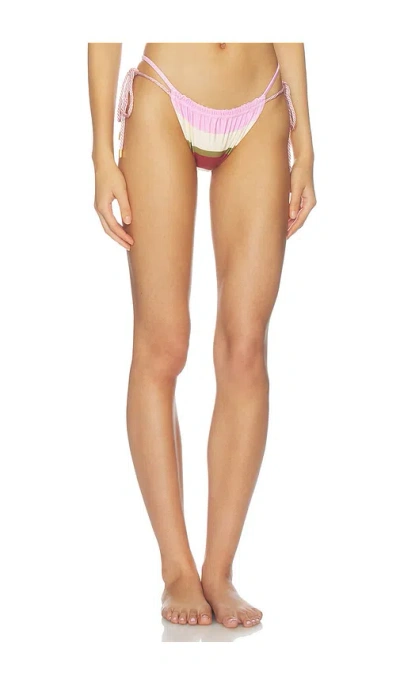 Baobab Lula Bikini Bottom In Pink