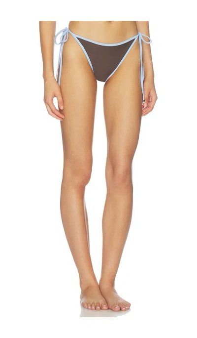 Baobab Rho Bikini Bottom In Brown