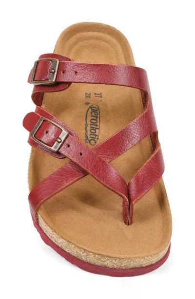 Aerothotic Celestis Slide Sandal In Multi