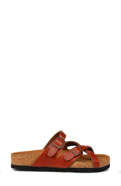 Aerothotic Celestis Slide Sandal In Multi