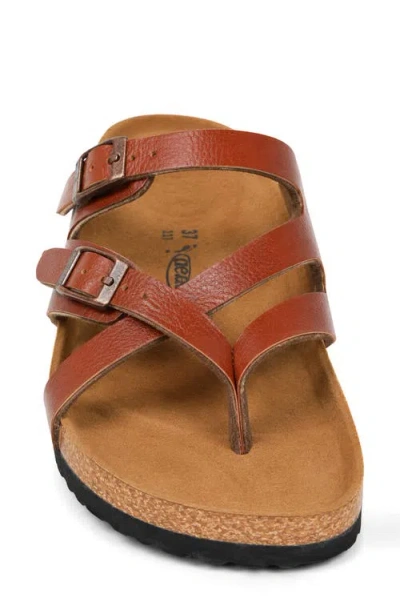 Aerothotic Celestis Slide Sandal In Multi