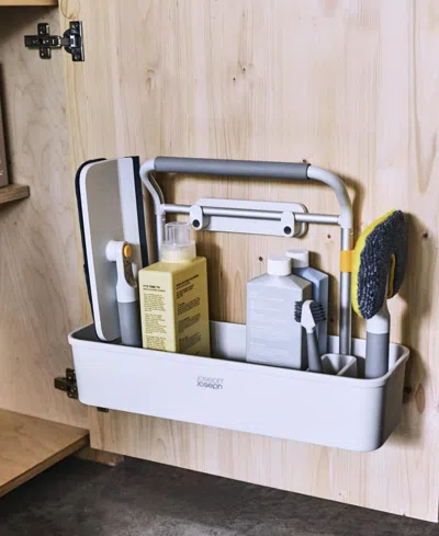 Joseph Joseph Cleantech Cleaning Tool Caddy In Silver