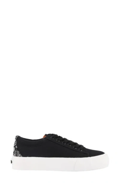 Lamo Amelie Platform Sneaker In Black