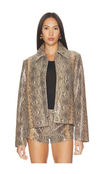 Mimchik Blouson Leather Jacket In Gray