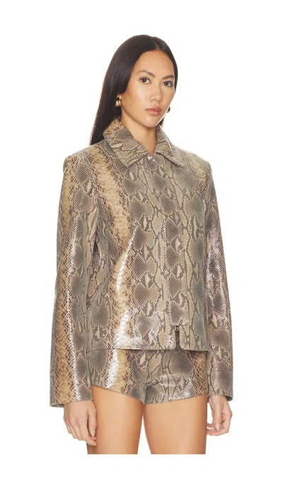 Mimchik Blouson Leather Jacket In Gray