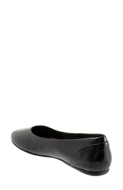 Softwalk ® Shiraz Flat In Black