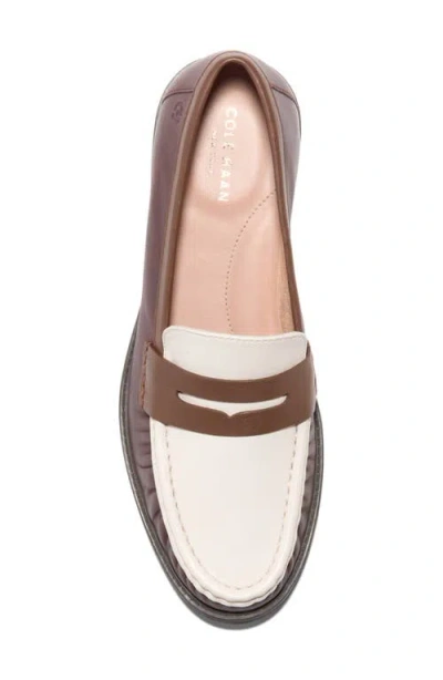 Cole Haan Stassi Penny Loafer In Multi