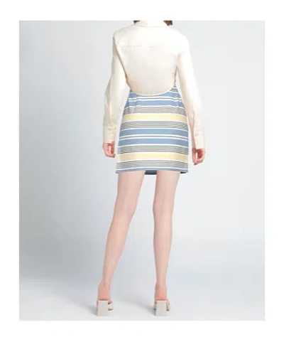 Max Mara Mini Skirts In Multi
