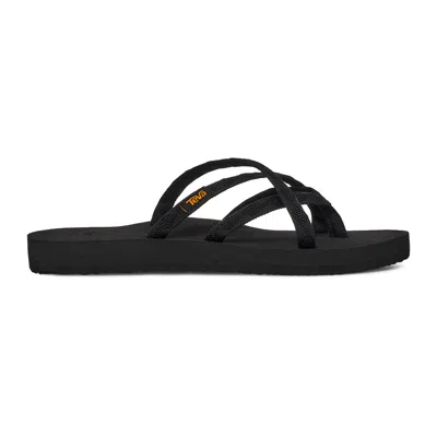 Teva Olowahu In Multi
