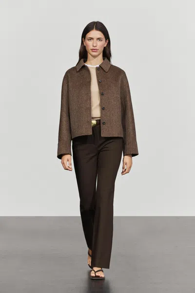 Massimo Dutti In Brown