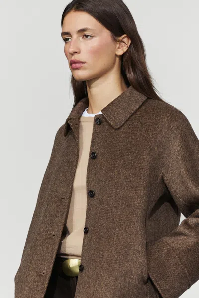 Massimo Dutti In Brown