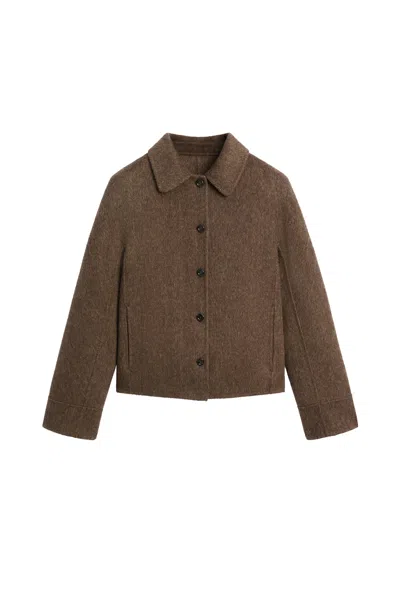 Massimo Dutti In Brown