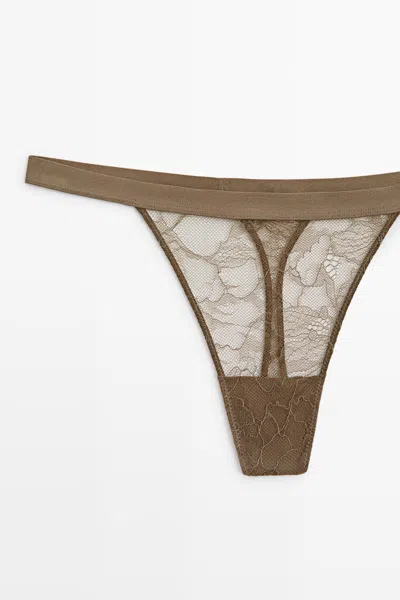 Massimo Dutti In Brown