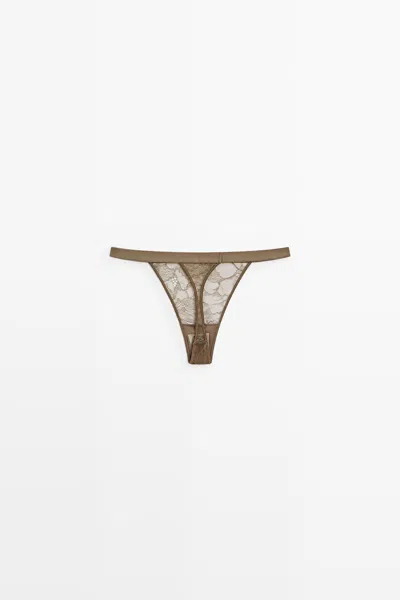 Massimo Dutti In Brown