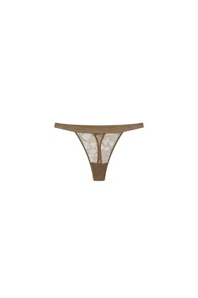 Massimo Dutti In Brown