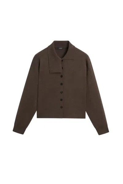 Massimo Dutti In Brown