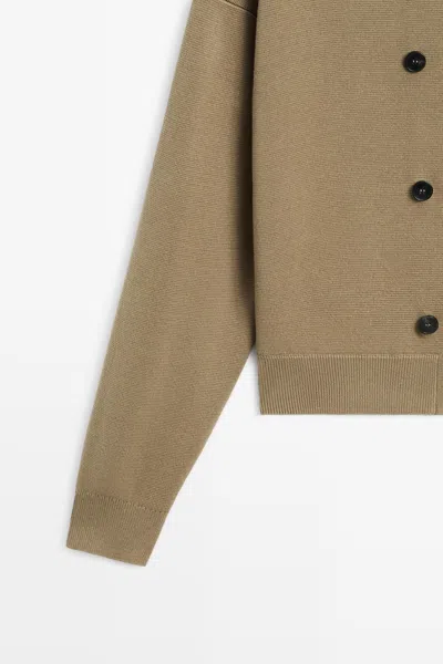 Massimo Dutti In Brown