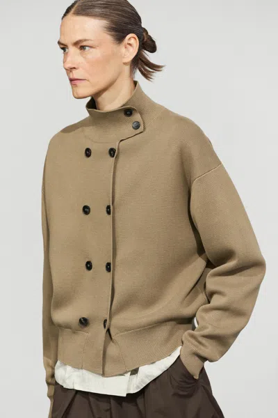 Massimo Dutti In Brown