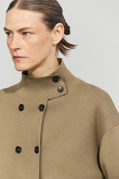 Massimo Dutti In Brown