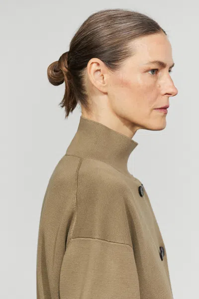 Massimo Dutti In Brown