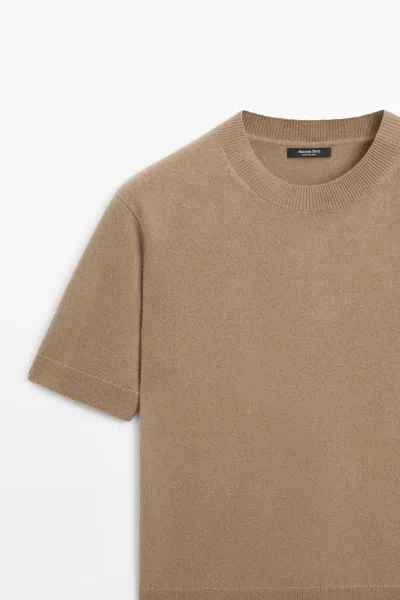 Massimo Dutti In Brown