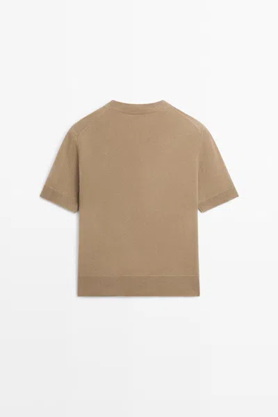 Massimo Dutti In Brown