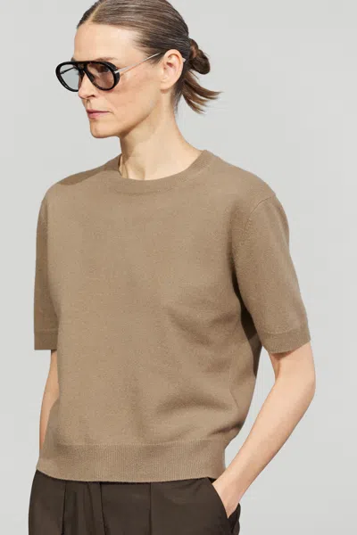 Massimo Dutti In Brown