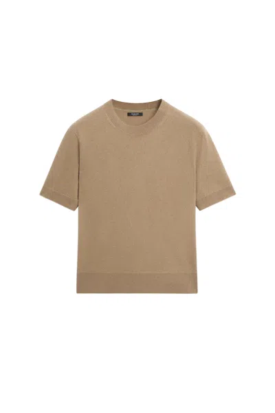 Massimo Dutti In Brown