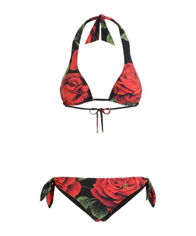 Dolce & Gabbana Rose-print Triangle Bikini In Multi