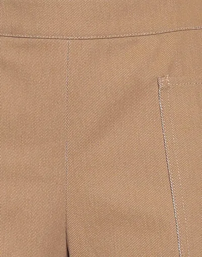 Max Mara Solid Color Shorts In Brown