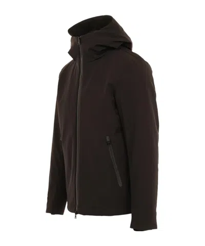 Woolrich Pacific Soft Shell Jacket In Brown