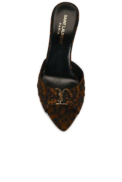 Saint Laurent Babylone Sandal Mule In Multi