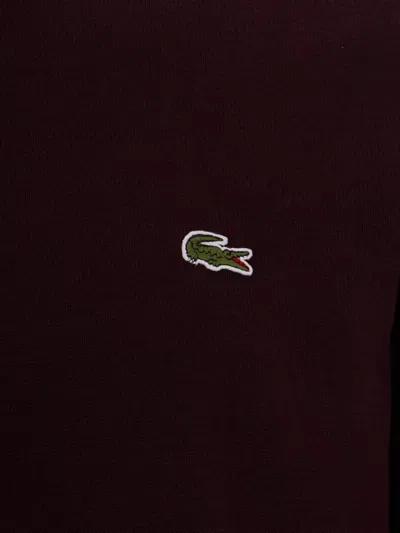 Lacoste Embroidered Loopback Cotton Sweatshirt In Burgundy