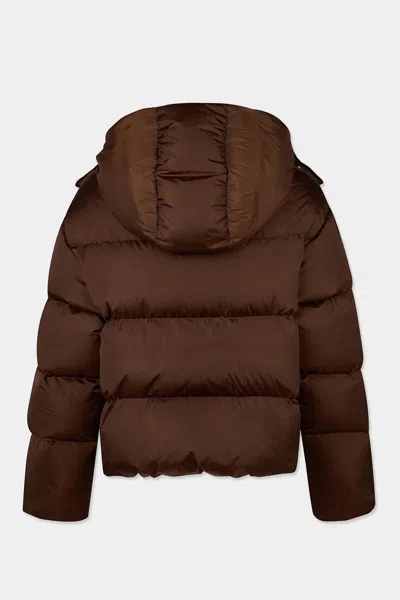 Dsquared2 Basic Padded Jacket In Brown