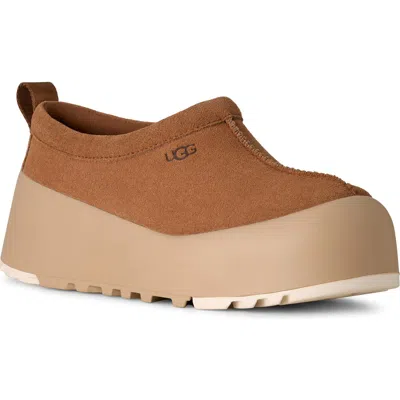 Ugg Tasman Streetscape Platform Slippers In Animal Print