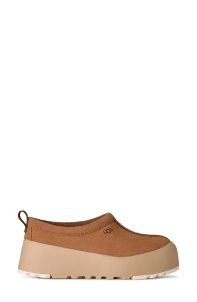 Ugg Tasman Streetscape Platform Slippers In Animal Print