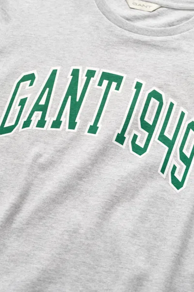Gant Graphic T-shirt In Gray