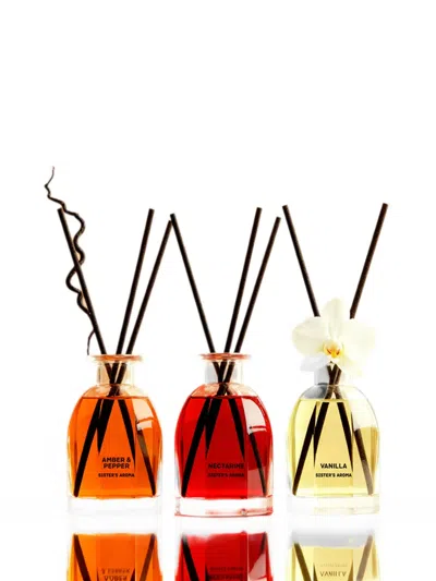 Sister’s Aroma Vanilla Reed Diffuser In Multi