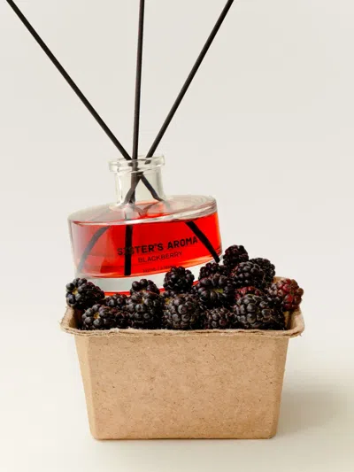 Sister’s Aroma Blackberry Reed Diffuser In Multi