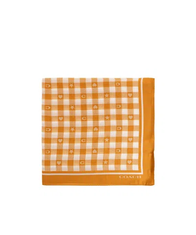 Coach Gingham-print Logo-print Scarf In Orange