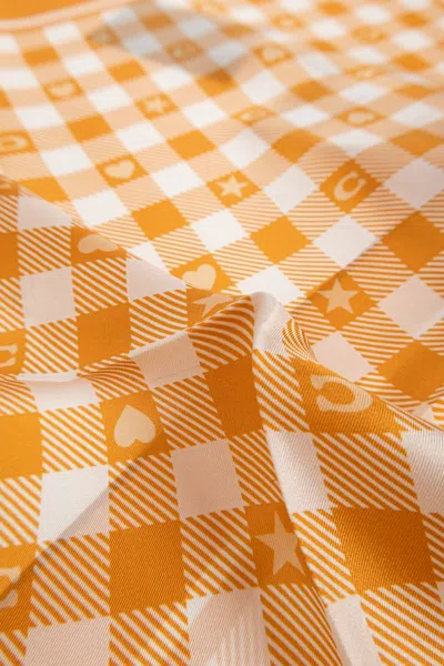 Coach Gingham-print Logo-print Scarf In Orange